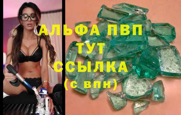сатива Киренск