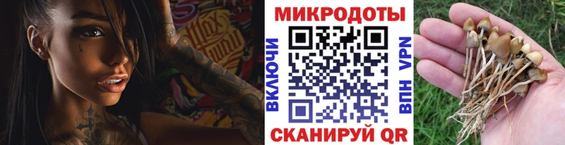 Галлюциногенные грибы GOLDEN TEACHER  Кирс 